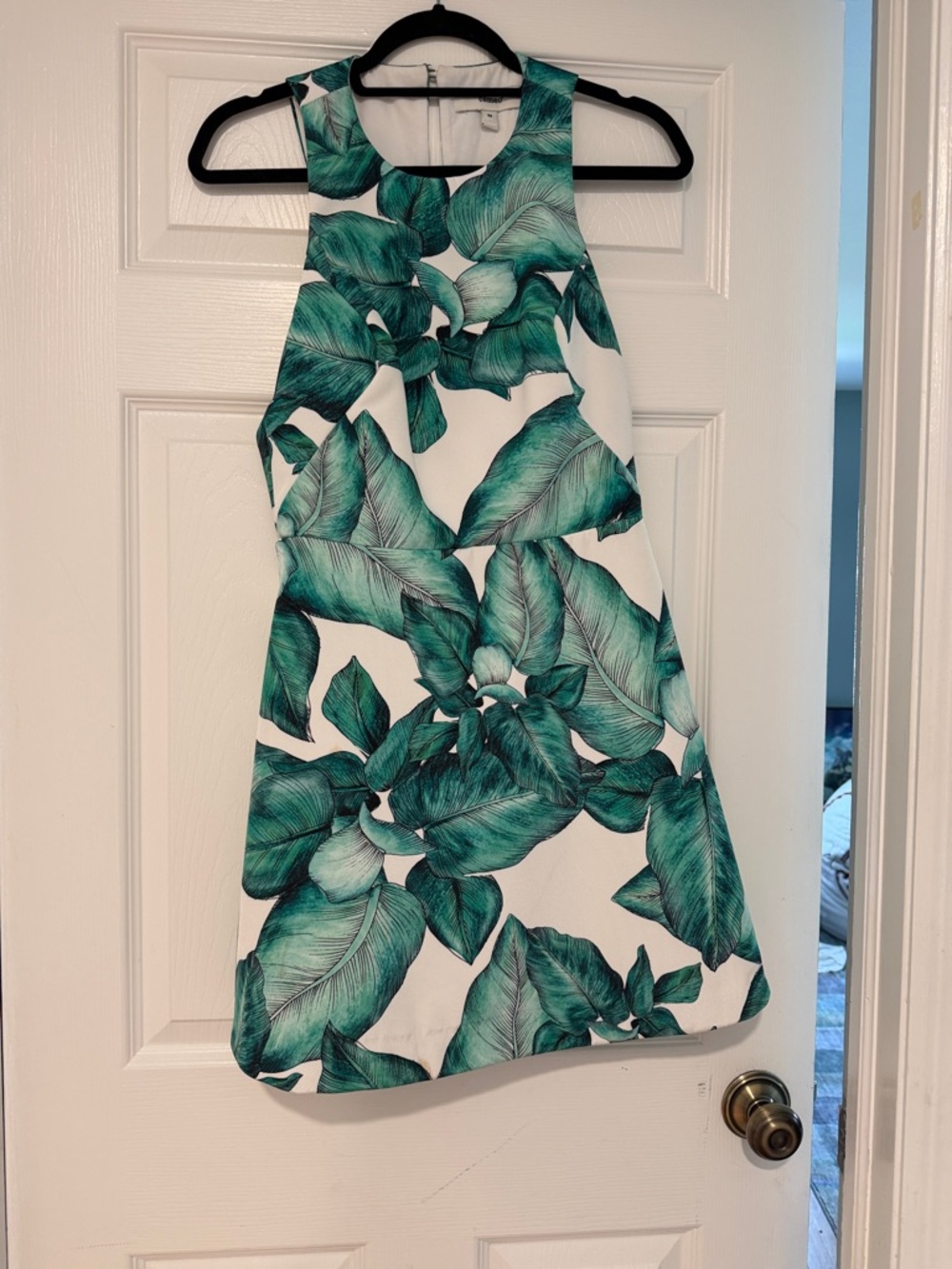 cameo Banana Leaf /Tropical Leaf Print